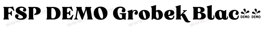 FSP DEMO Grobek Blac字体转换